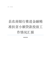 县农商银行推进金融精准扶贫小额贷款投放工作情况汇报