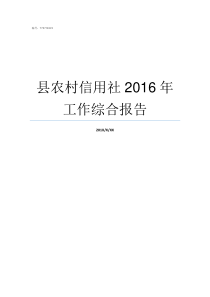 县农村信用社2016年工作综合报告县农村信用社