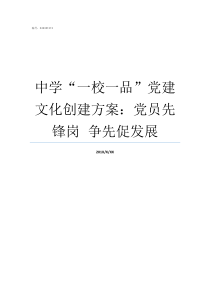 中学一校一品党建文化创建方案党员先锋岗nbspnbsp争先促发展