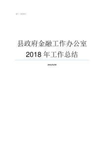 县政府金融工作办公室2018年工作总结县金融办好吗