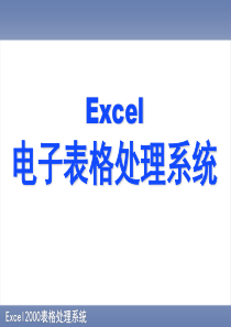 Excel电子表格处理系统