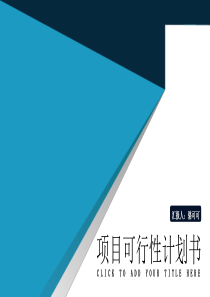 建站专家网掌柜技术部使用项目可行性计划书模板（PPT30页)