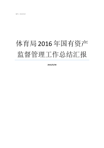 体育局2016年国有资产监督管理工作总结汇报