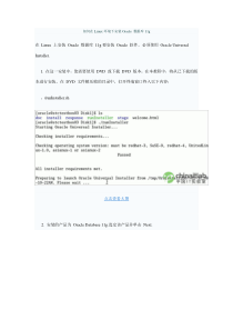 如何在Linux环境下安装Oracle 数据库11g