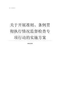 关于开展准则条例贯彻执行情况监督检查专项行动的实施方案