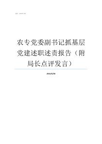 农专党委副书记抓基层党建述职述责报告附局长点评发言农十师党委副书记级别