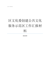 区文化委创建公共文化服务示范区工作汇报材料