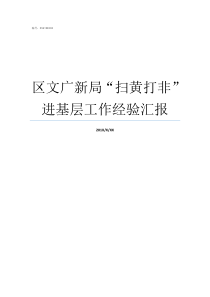 区文广新局扫黄打非进基层工作经验汇报文广新局怎么样