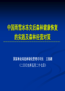 中国雨雪冰冻灾后森林健康恢复的实践及森林经营对策