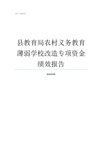 县教育局农村义务教育薄弱学校改造专项资金绩效报告