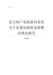 县文体广电旅游局党组关于县委巡察组巡察整改情况报告文体广电旅游局全称