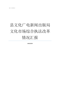 县文化广电新闻出版局文化市场综合执法改革情况汇报