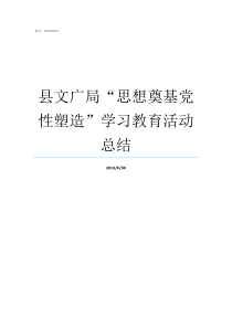 县文广局思想奠基党性塑造学习教育活动总结党的思想路线