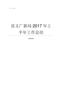 县文广新局2017年上半年工作总结