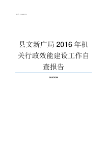 县文新广局2016年机关行政效能建设工作自查报告文广新局怎么样