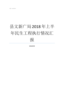 县文新广局2018年上半年民生工程执行情况汇报文广新局怎么样