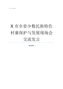 X市全省少数民族特色村寨保护与发展现场会交流发言少数民族的风俗和特色