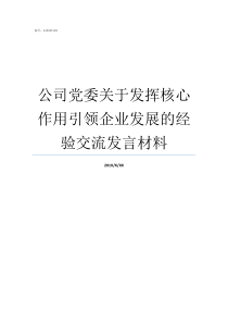 公司党委关于发挥核心作用引领企业发展的经验交流发言材料