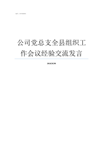 公司党总支全县组织工作会议经验交流发言党总支与党支部的关系