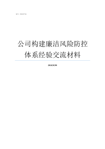 公司构建廉洁风险防控体系经验交流材料廉洁风险防控工作