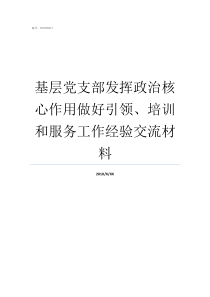 基层党支部发挥政治核心作用做好引领培训和服务工作经验交流材料基层党支部