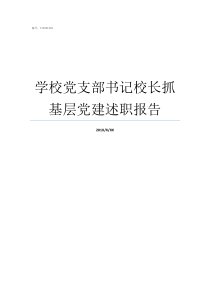 学校党支部书记校长抓基层党建述职报告