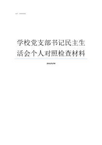 学校党支部书记民主生活会个人对照检查材料