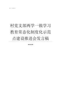 村党支部两学一做学习教育常态化制度化示范点建设推进会发言稿