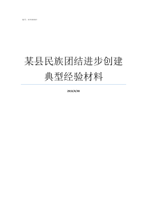 某县民族团结进步创建典型经验材料创建全国民族团结进步示范县