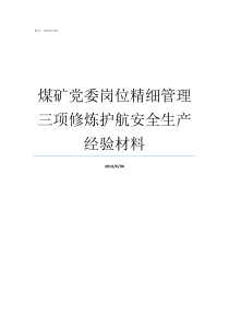 煤矿党委岗位精细管理三项修炼护航安全生产经验材料