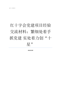 红十字会党建项目经验交流材料繁细处着手抓党建nbsp实处着力创十星红十字会项目方案