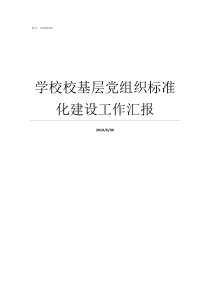 学校校基层党组织标准化建设工作汇报基层党组织标准化建设