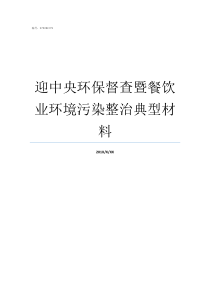 迎中央环保督查暨餐饮业环境污染整治典型材料中央环保督察督查什么