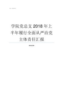 学院党总支2018年上半年履行全面从严治党主体责任汇报