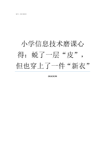 小学信息技术磨课心得蜕了一层皮但也穿上了一件新衣磨课心得感想