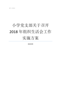 小学党支部关于召开2018年组织生活会工作实施方案党支部是党的