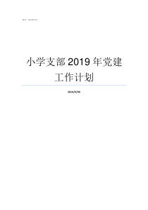 小学支部2019年党建工作计划2019年党支部会议记录