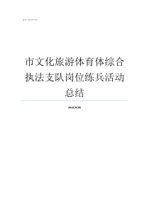 市文化旅游体育体综合执法支队岗位练兵活动总结文化旅游再加上体育