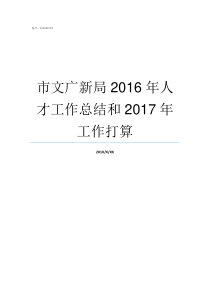 市文广新局2016年人才工作总结和2017年工作打算