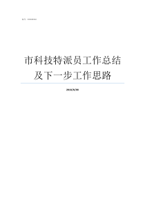 市科技特派员工作总结及下一步工作思路