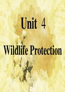 Unit4-Wildlife-Protection(PPT)