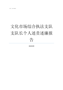 文化市场综合执法支队支队长个人述责述廉报告文化市场执法支队好吗