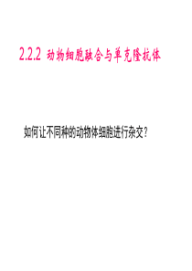 人教版教学课件动物细胞融合与单克隆抗体  课件  2