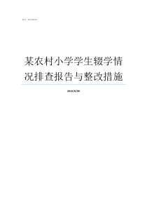 某农村小学学生辍学情况排查报告与整改措施