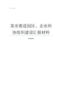 某市推进园区企业科协组织建设汇报材料苏州工业园区领科海外