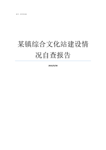 某镇综合文化站建设情况自查报告镇文化站有几个人