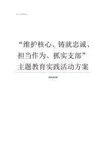 维护核心铸就忠诚担当作为抓实支部主题教育实践活动方案开展维护核心铸就忠诚