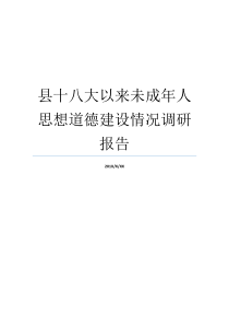 观念基础教育调查报告未成年人观念道德基本建设道德情形县十八大