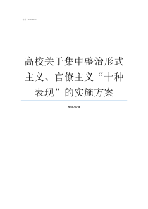 高校关于集中整治形式主义官僚主义十种表现的实施方案