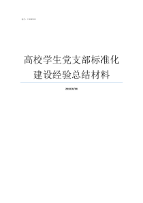 高校学生党支部标准化建设经验总结材料高校党支部